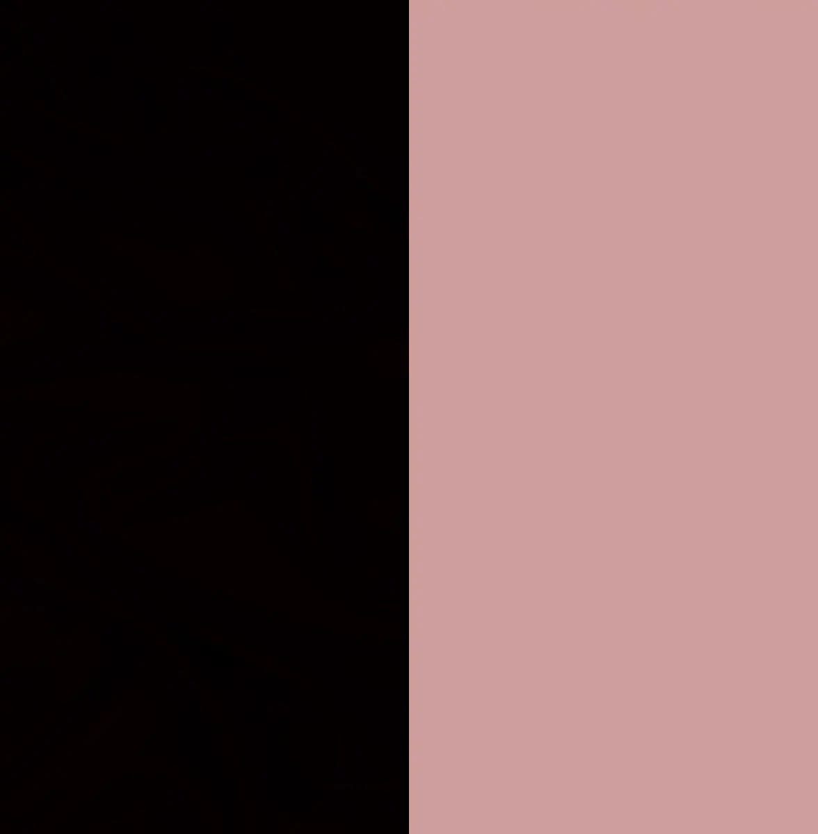 NEGRO Y ROSA VIEJA.jpg