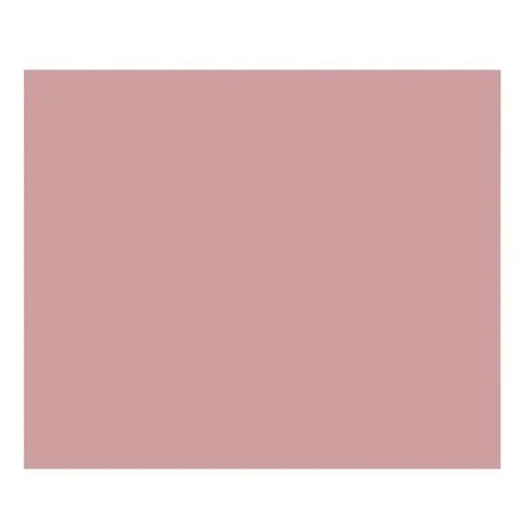 ROSA VIEJA.webp